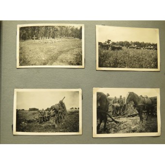 Album de fotos de la Wehrmacht soldado de infantería del 6 de empresa del 56 Regimiento de Inf. Espenlaub militaria